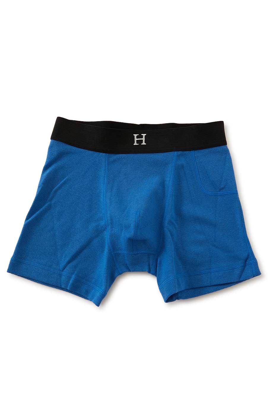 ストレッチフライス ブリーフ - ROYAL BLUE